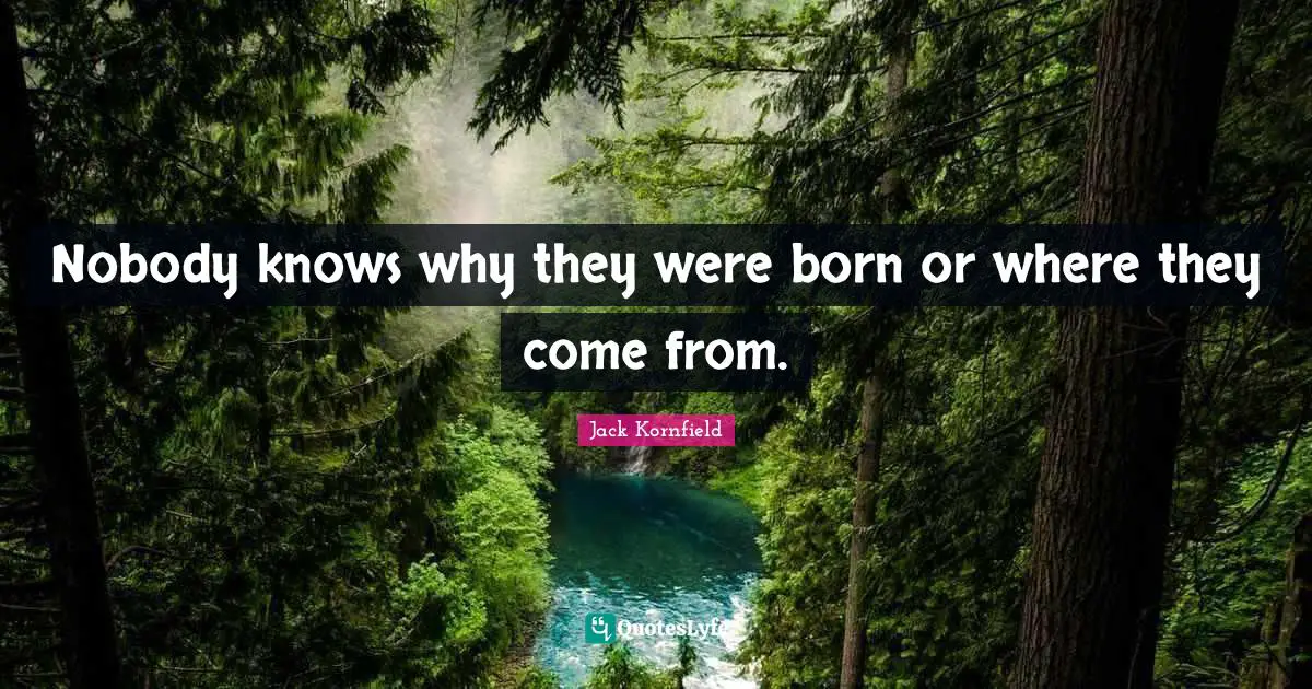 Nobody knows why they were born or where they come from.