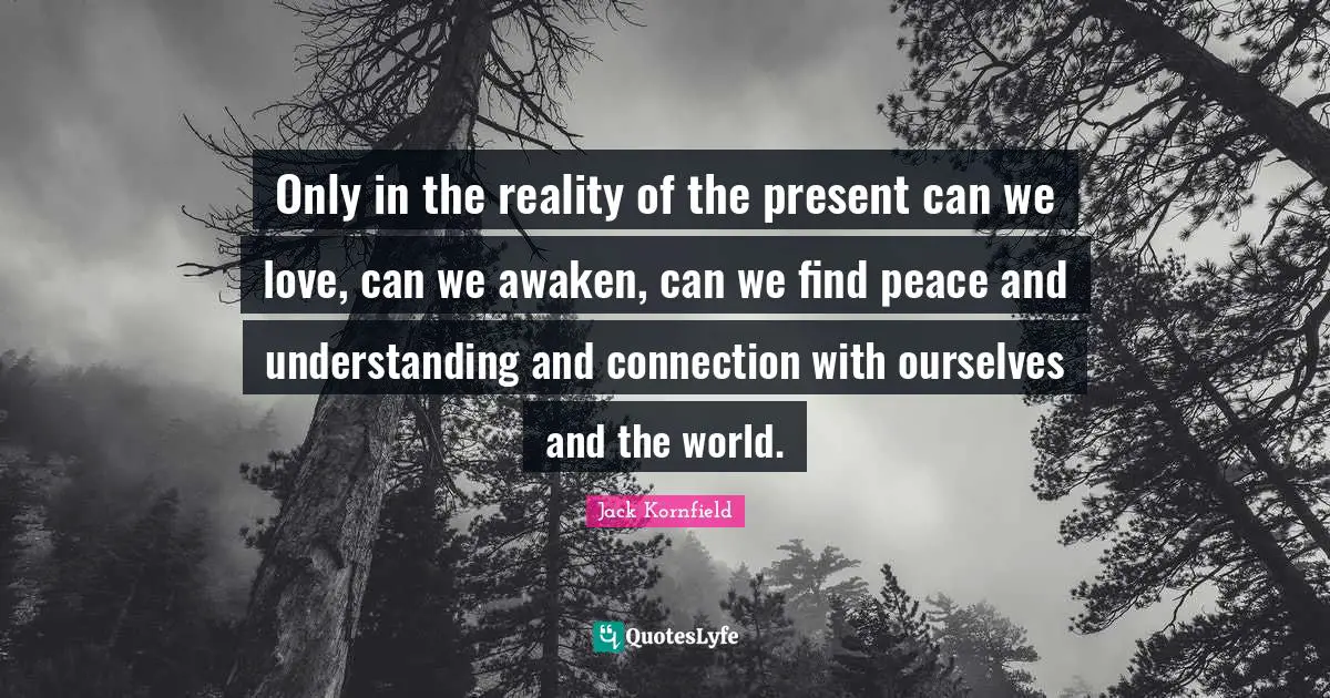 Only in the reality of the present can we love, can we awaken, can we find peace and understanding and connection with ourselves and the world.
