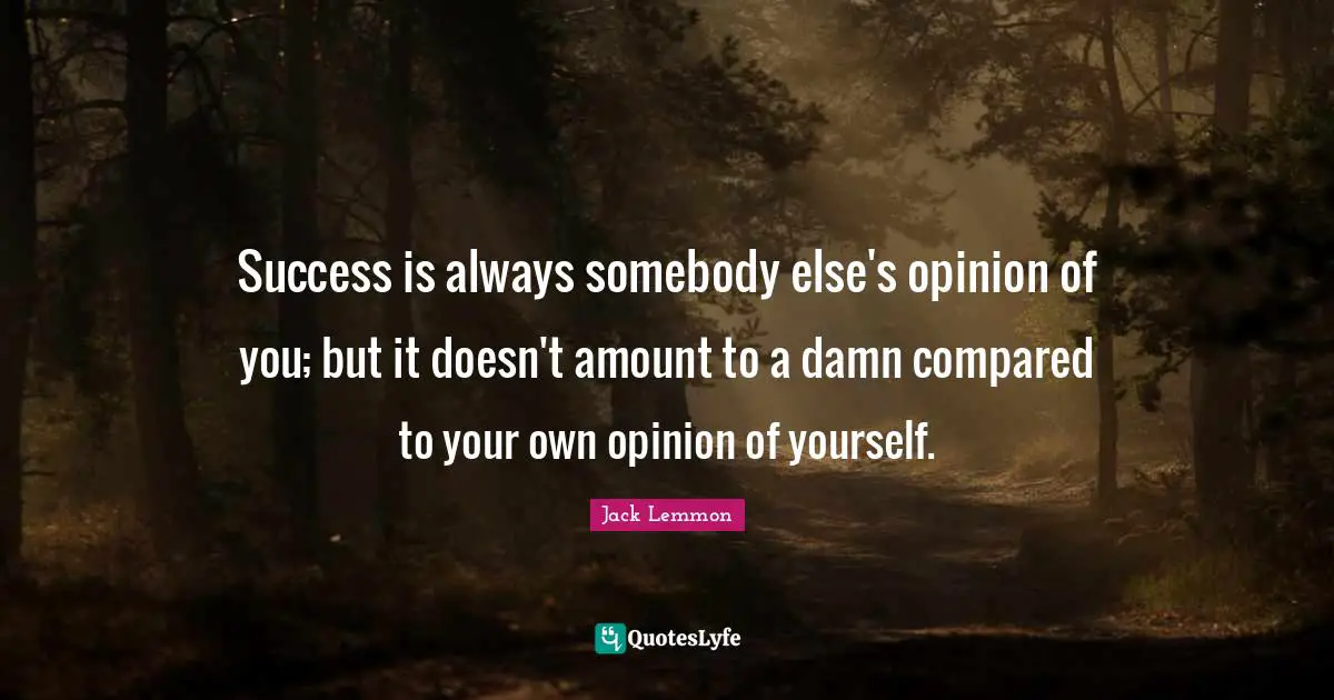 Success is always somebody else's opinion of you; but it doesn't amount to a damn compared to your own opinion of yourself.