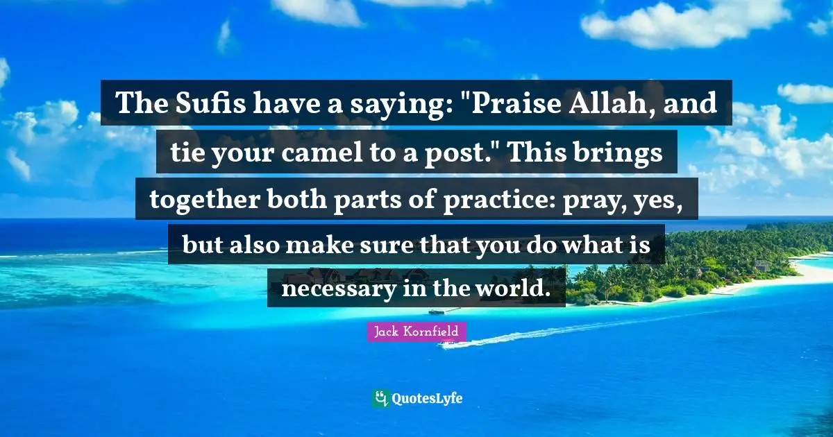 The Sufis have a saying: "Praise Allah, and tie your camel to a post." This brings together both parts of practice: pray, yes, but also make sure that you do what is necessary in the world.