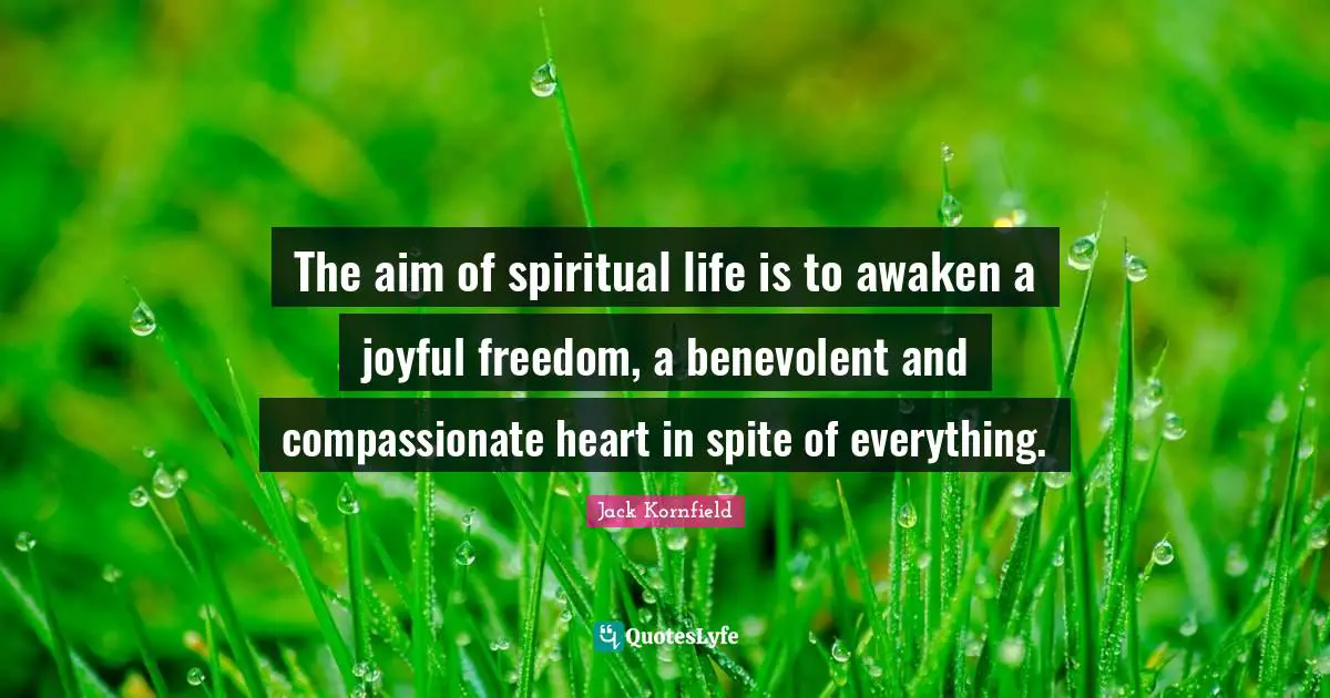 The aim of spiritual life is to awaken a joyful freedom, a benevolent and compassionate heart in spite of everything.