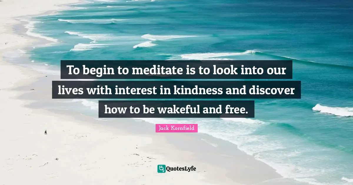 To begin to meditate is to look into our lives with interest in kindness and discover how to be wakeful and free.