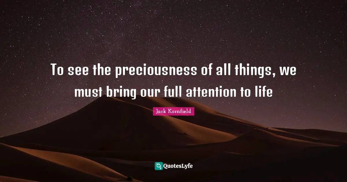 To see the preciousness of all things, we must bring our full attention to life