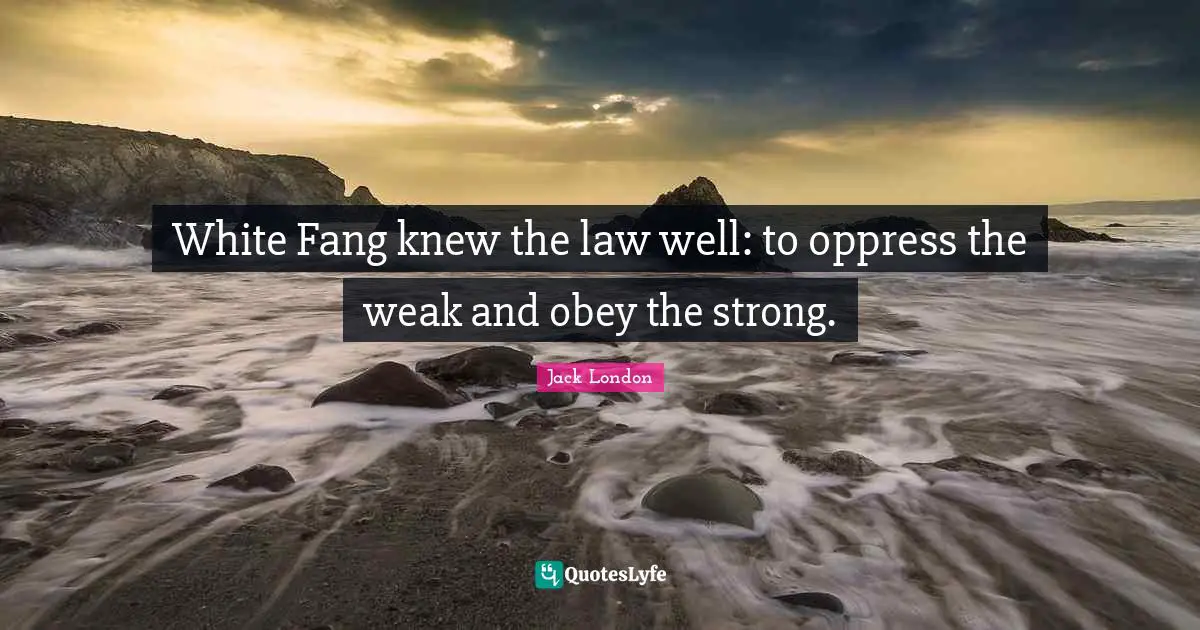 Jack London Quotes: "White Fang knew the law well: to oppress the weak and obey the strong."