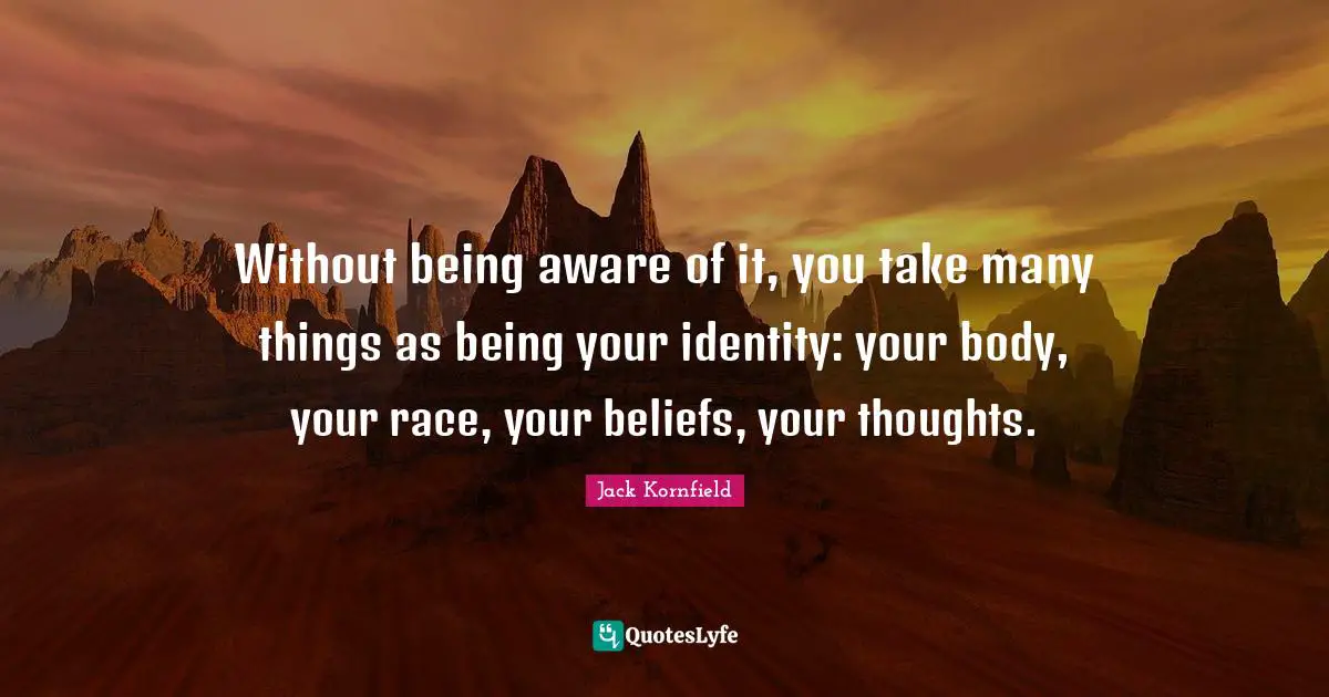 Without being aware of it, you take many things as being your identity: your body, your race, your beliefs, your thoughts.