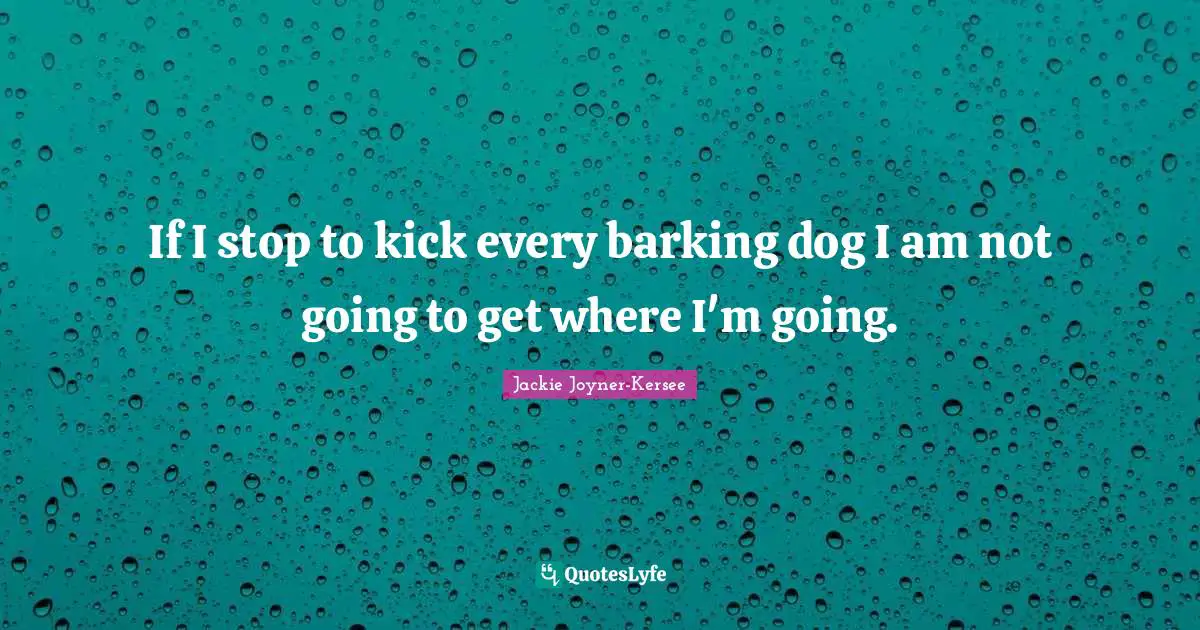If I stop to kick every barking dog I am not going to get where I'm going.