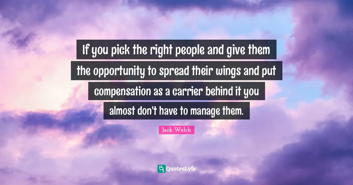 Compensation Quotes: "If you pick the right people and give them the opportunity to spread their wings and put compensation as a carrier behind it you almost don't have to manage them."