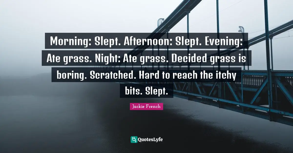 Morning: Slept. Afternoon: Slept. Evening: Ate grass. Night: Ate grass. Decided grass is boring. Scratched. Hard to reach the itchy bits. Slept.