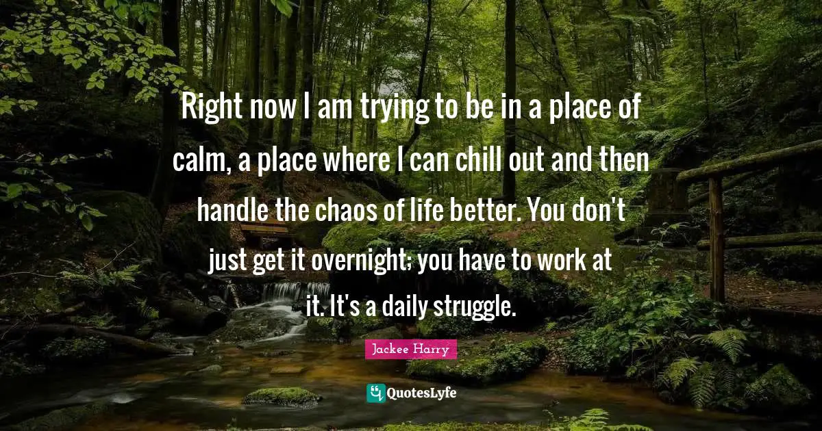 Right now I am trying to be in a place of calm, a place where I can chill out and then handle the chaos of life better. You don't just get it overnight; you have to work at it. It's a daily struggle.
