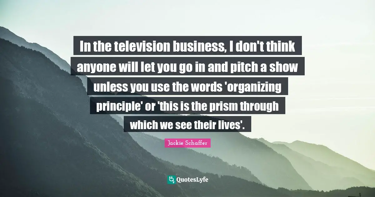 In the television business, I don't think anyone will let you go in and pitch a show unless you use the words 'organizing principle' or 'this is the prism through which we see their lives'.