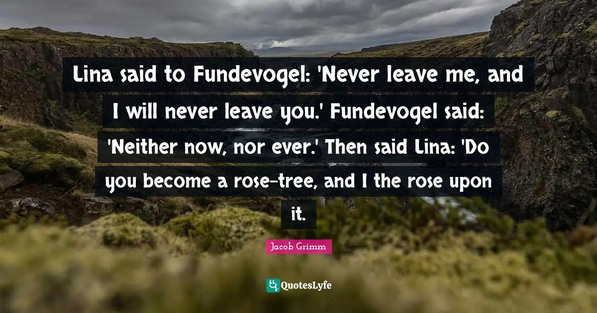 Lina said to Fundevogel: 'Never leave me, and I will never leave you.' Fundevogel said: 'Neither now, nor ever.' Then said Lina: 'Do you become a rose-tree, and I the rose upon it.