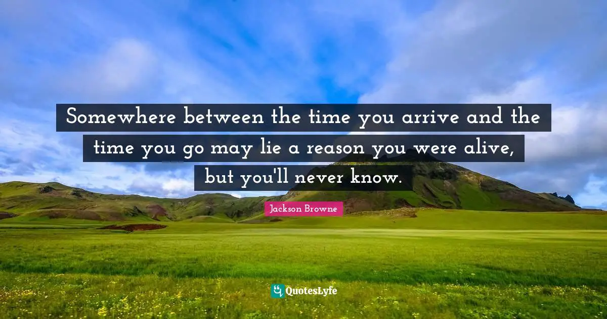 Somewhere between the time you arrive and the time you go may lie a reason you were alive, but you'll never know.