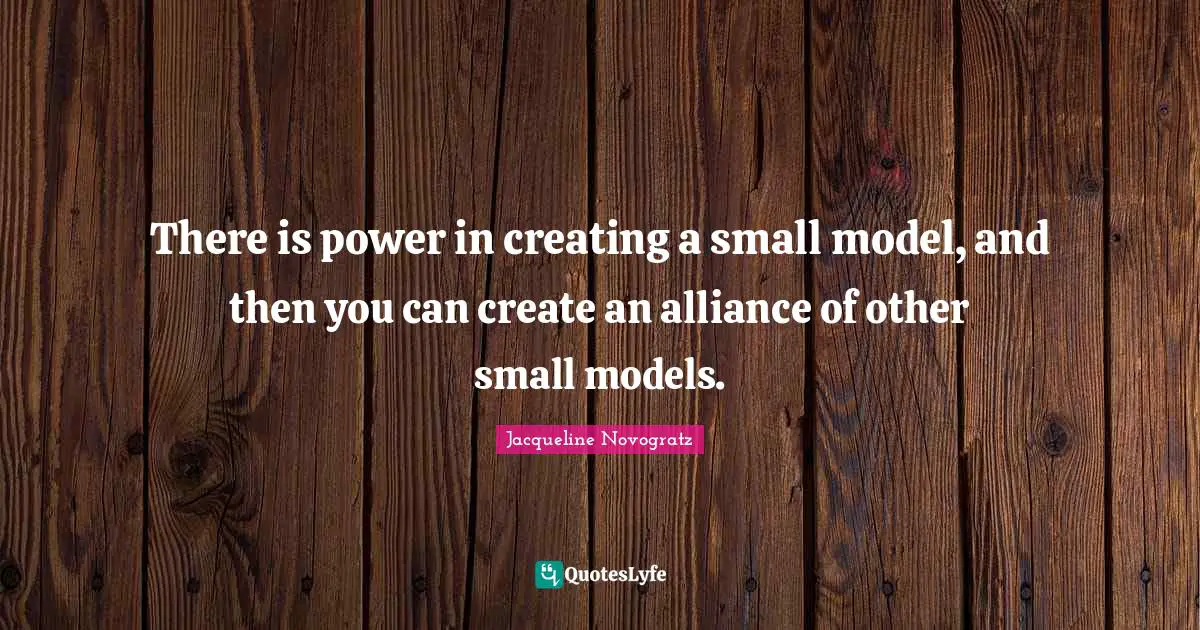 There is power in creating a small model, and then you can create an alliance of other small models.
