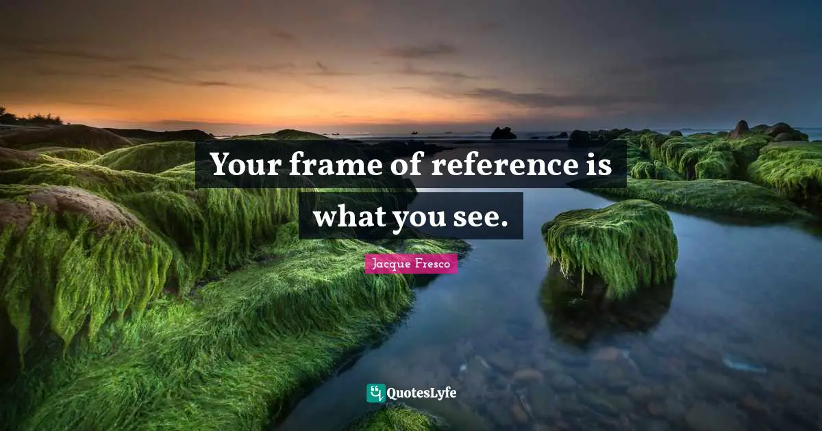 Your frame of reference is what you see.
