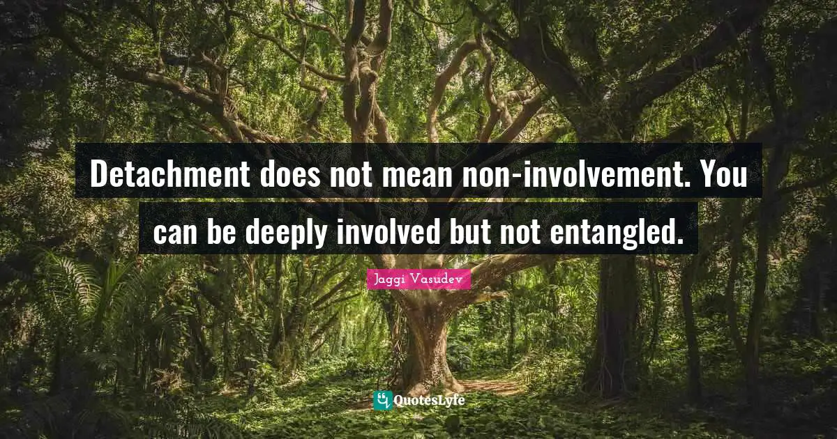 Detachment does not mean non-involvement. You can be deeply involved but not entangled.