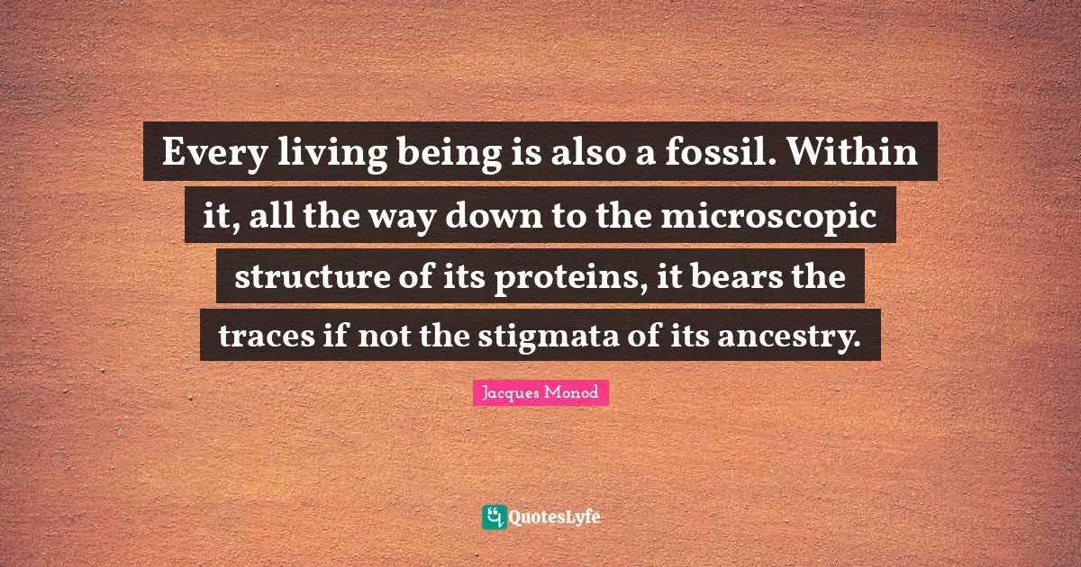 Every living being is also a fossil. Within it, all the way down to the microscopic structure of its proteins, it bears the traces if not the stigmata of its ancestry.