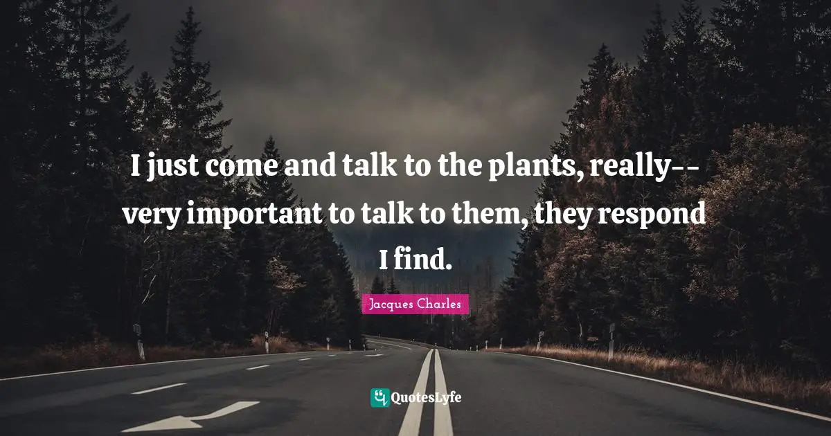 I just come and talk to the plants, really--very important to talk to them, they respond I find.