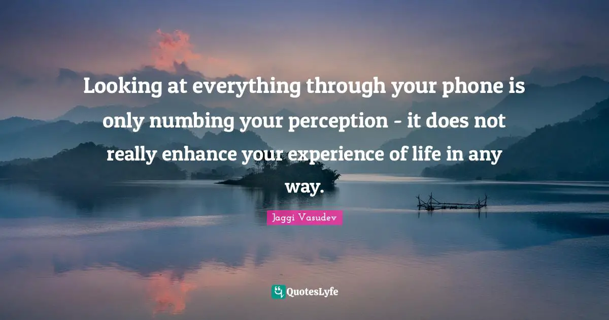 Looking at everything through your phone is only numbing your perception - it does not really enhance your experience of life in any way.
