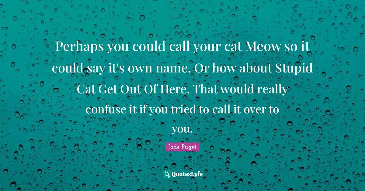 Perhaps you could call your cat Meow so it could say it's own name. Or how about Stupid Cat Get Out Of Here. That would really confuse it if you tried to call it over to you.