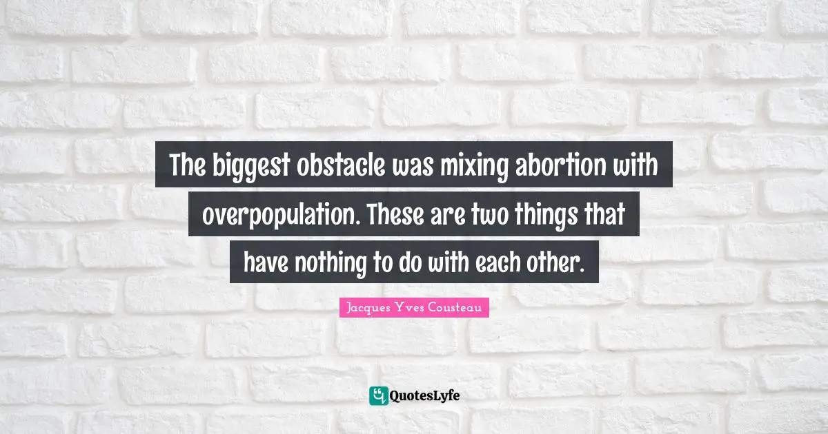 The biggest obstacle was mixing abortion with overpopulation. These are two things that have nothing to do with each other.
