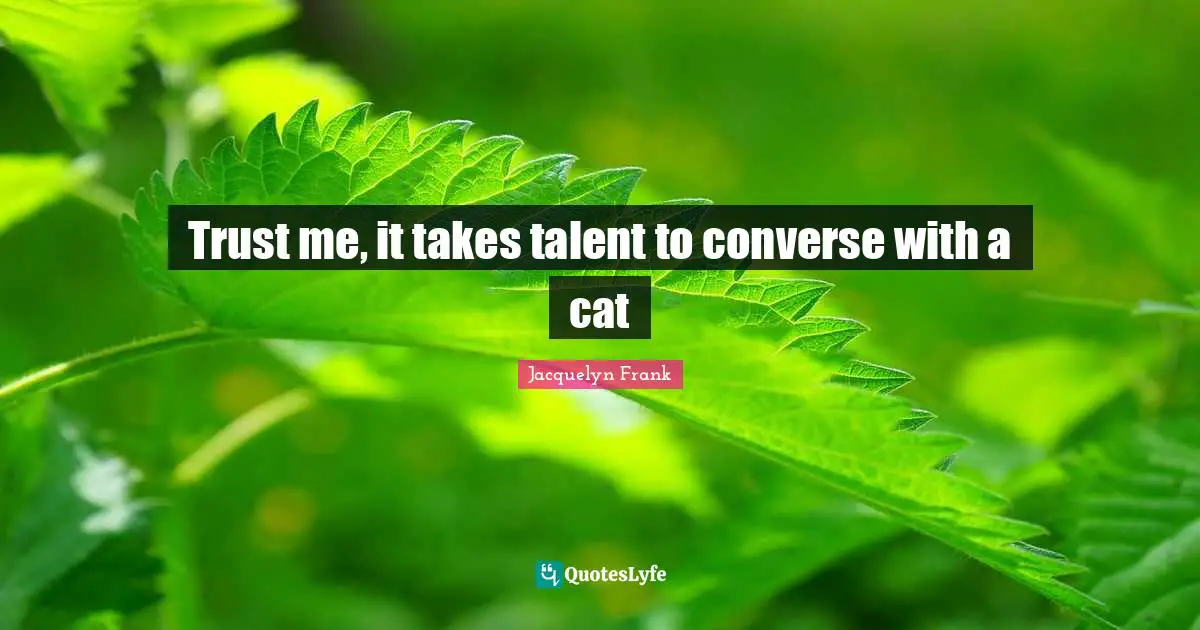 Trust me, it takes talent to converse with a cat