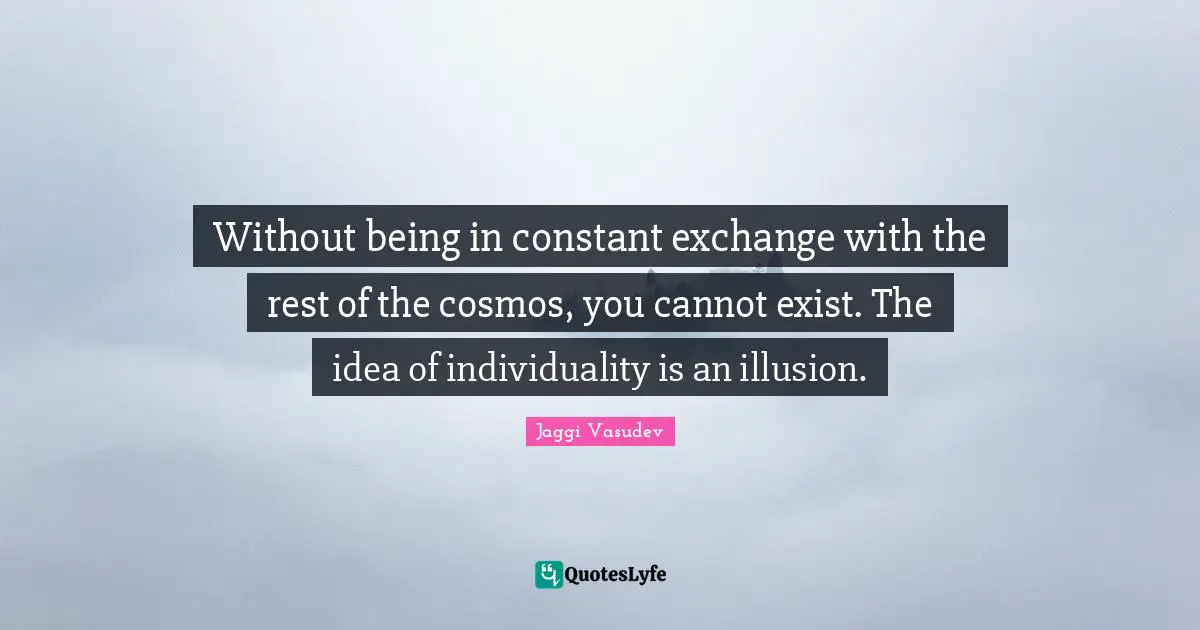 Without being in constant exchange with the rest of the cosmos, you cannot exist. The idea of individuality is an illusion.