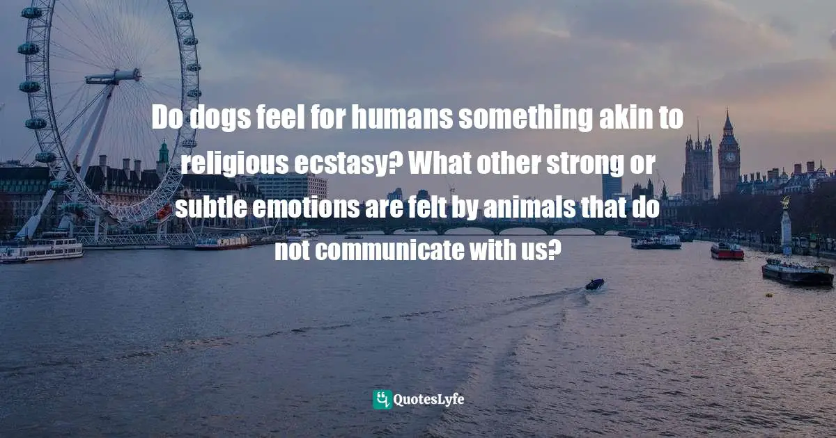 Carl Sagan, Dragons Of Eden: Speculations On The Evolution Of Human Intelligence Quotes: "Do dogs feel for humans something akin to religious ecstasy? What other strong or subtle emotions are felt by animals that do not communicate with us?"