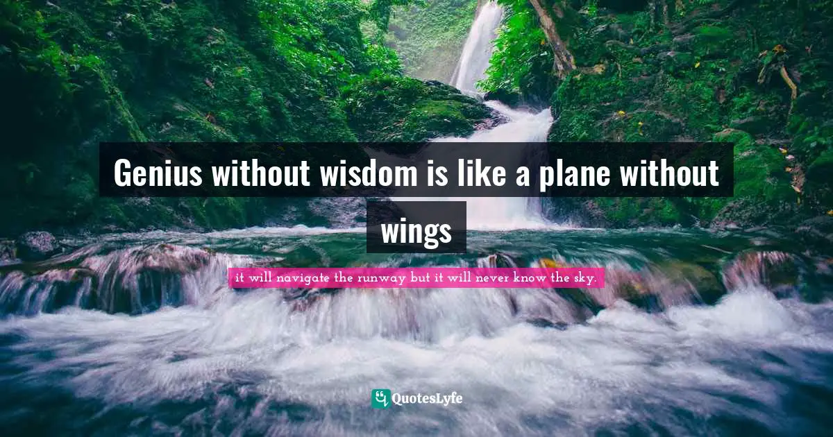 Genius without wisdom is like a plane without wings