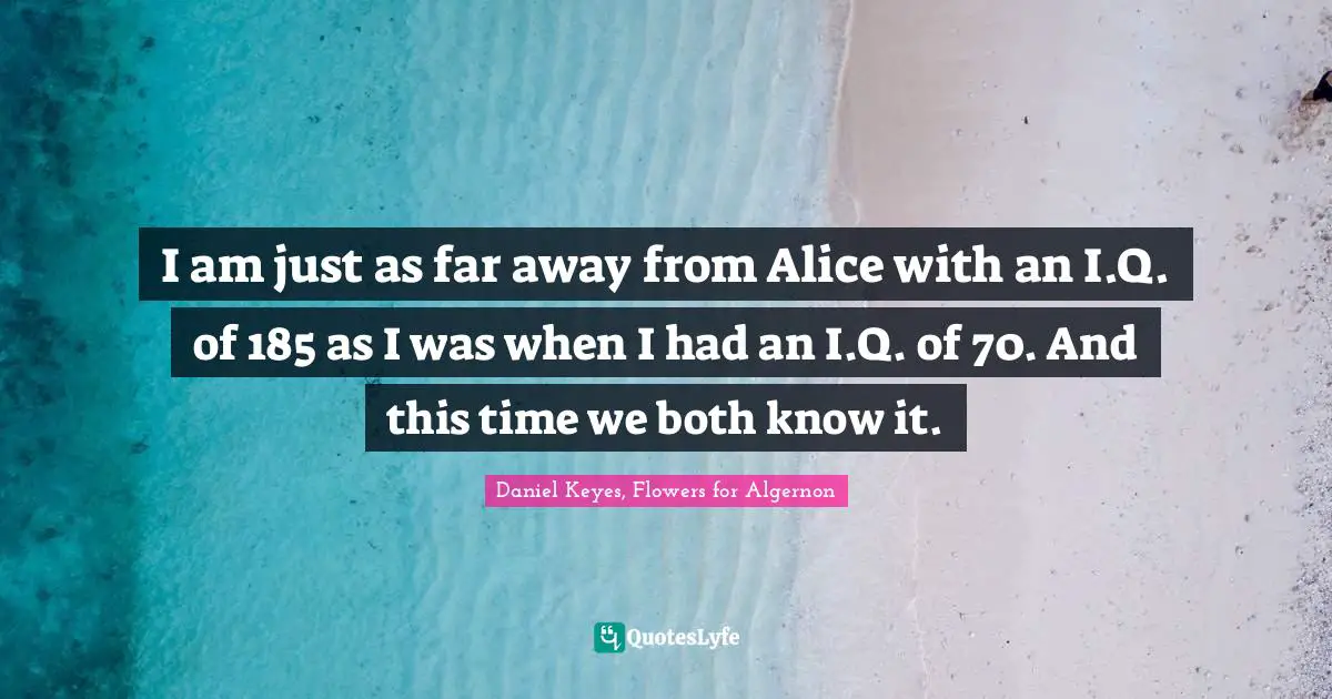I am just as far away from Alice with an I.Q. of 185 as I was when I had an I.Q. of 70. And this time we both know it.