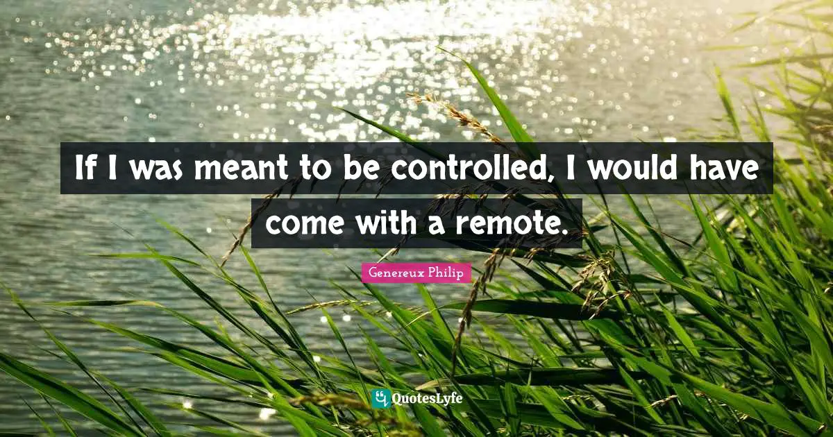 Vibes Quotes: "If I was meant to be controlled, I would have come with a remote."