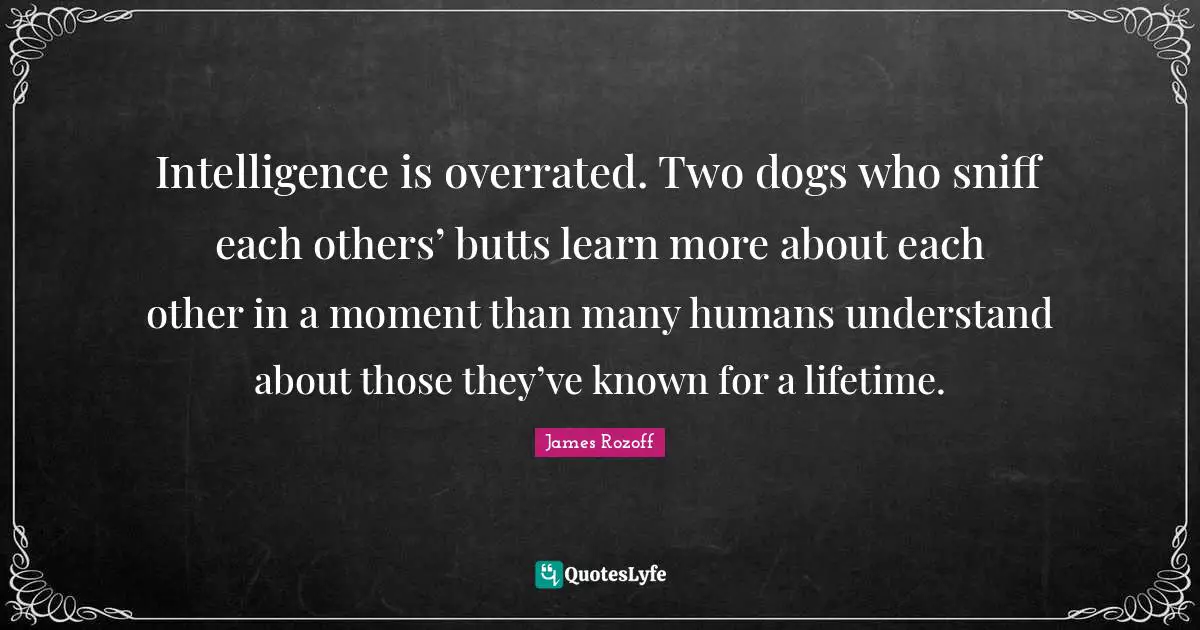 Intelligence is overrated. Two dogs who sniff each others’ butts learn more about each other in a moment than many humans understand about those they’ve known for a lifetime.