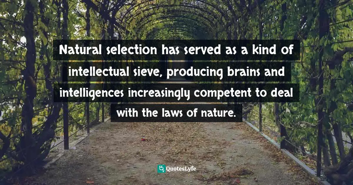 Natural selection has served as a kind of intellectual sieve, producing brains and intelligences increasingly competent to deal with the laws of nature.