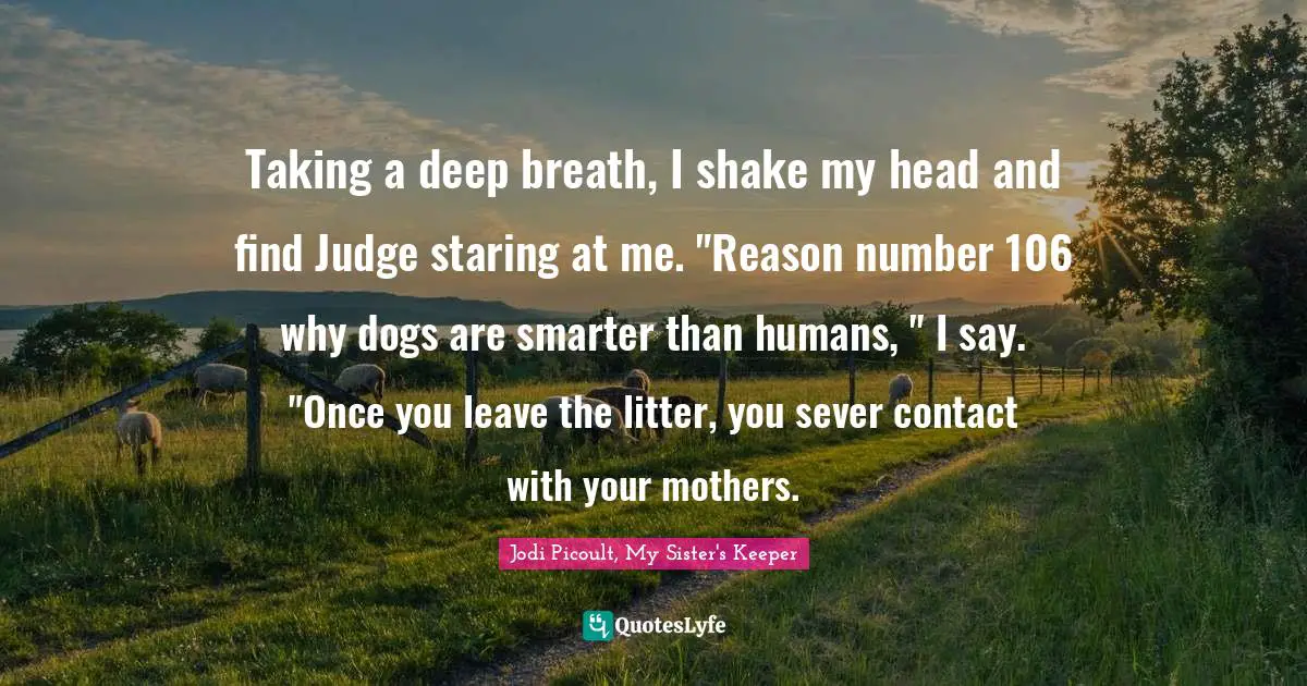 Taking a deep breath, I shake my head and find Judge staring at me. "Reason number 106 why dogs are smarter than humans, " I say. "Once you leave the litter, you sever contact with your mothers.