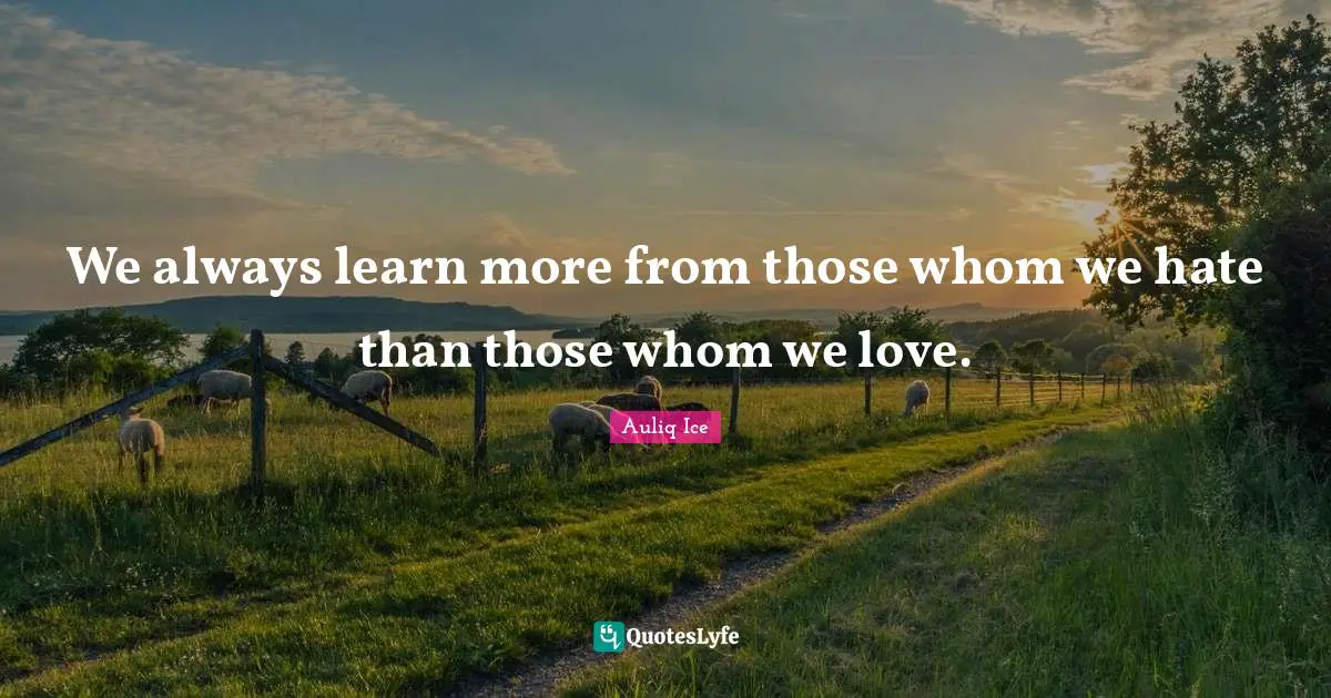 Learning By Doing Quotes: "We always learn more from those whom we hate than those whom we love."