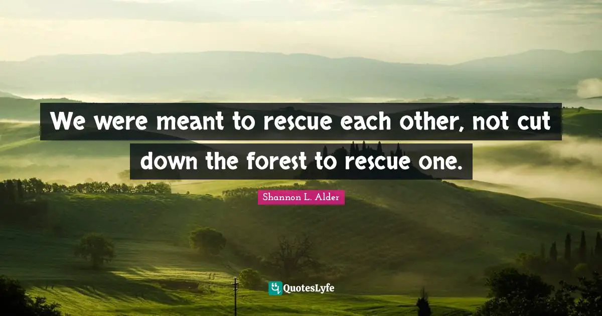 Shannon L. Alder Quotes: We were meant to rescue each other, not cut down the forest to rescue one.