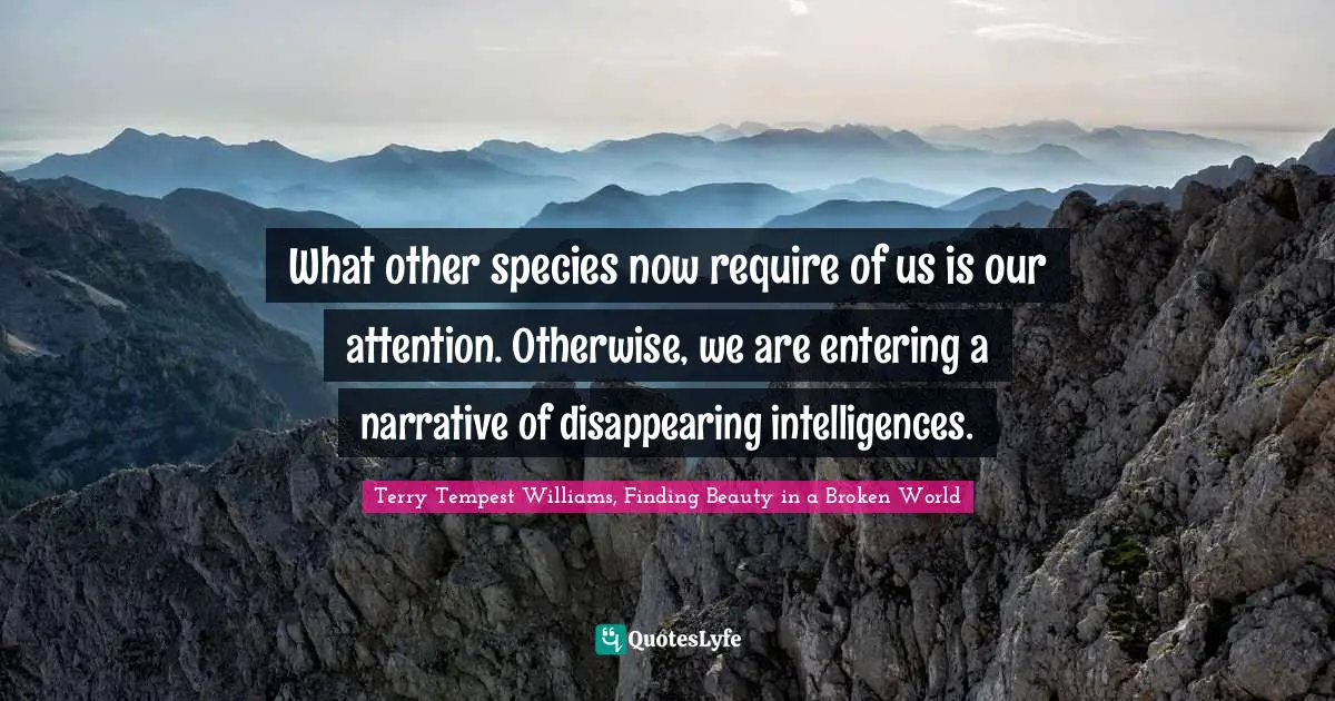 What other species now require of us is our attention. Otherwise, we are entering a narrative of disappearing intelligences.