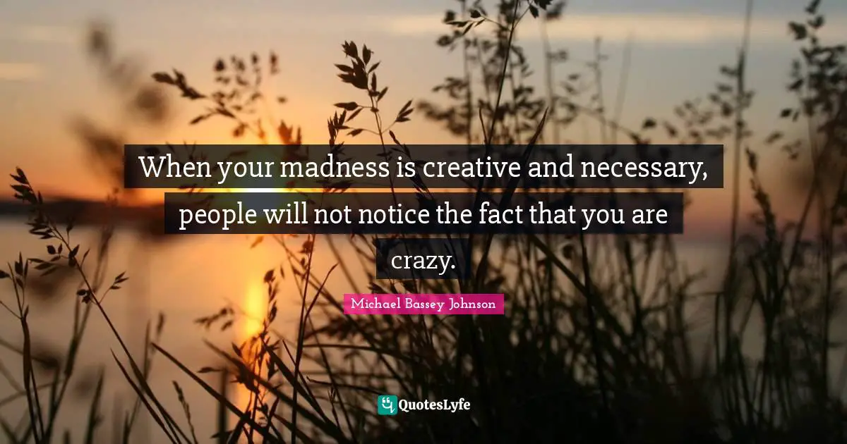 Michael Bassey Johnson Quotes: When your madness is creative and necessary, people will not notice the fact that you are crazy.