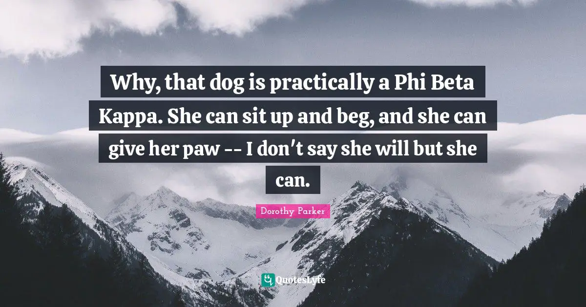 Why, that dog is practically a Phi Beta Kappa. She can sit up and beg, and she can give her paw -- I don't say she will but she can.