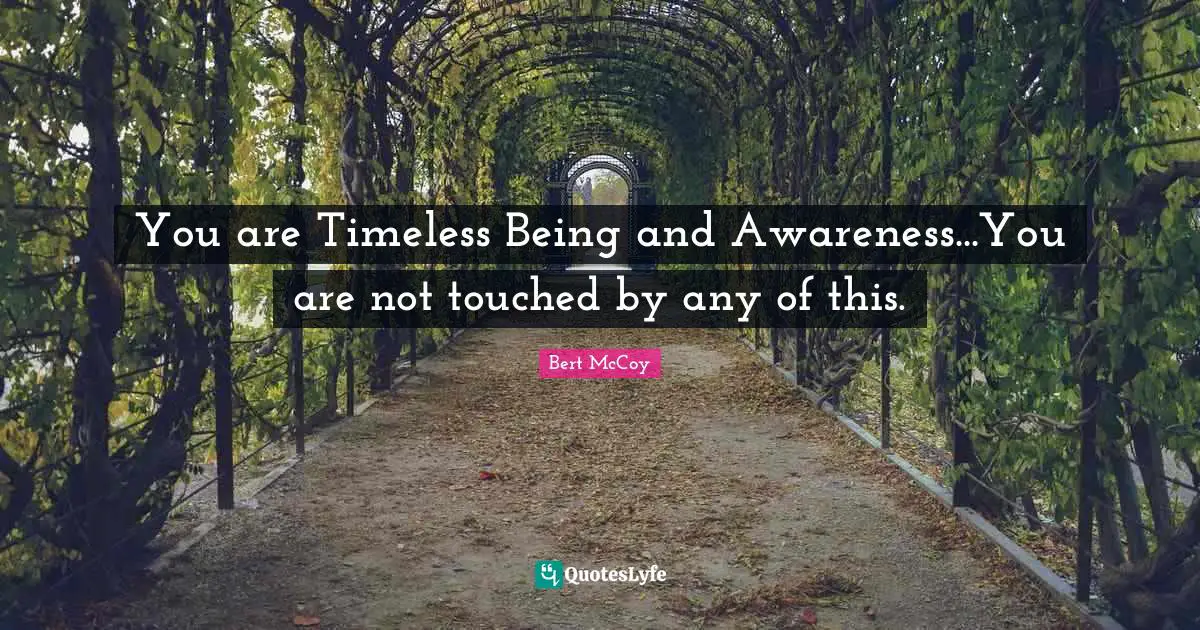 Quintessence Quotes: "You are Timeless Being and Awareness...You are not touched by any of this."