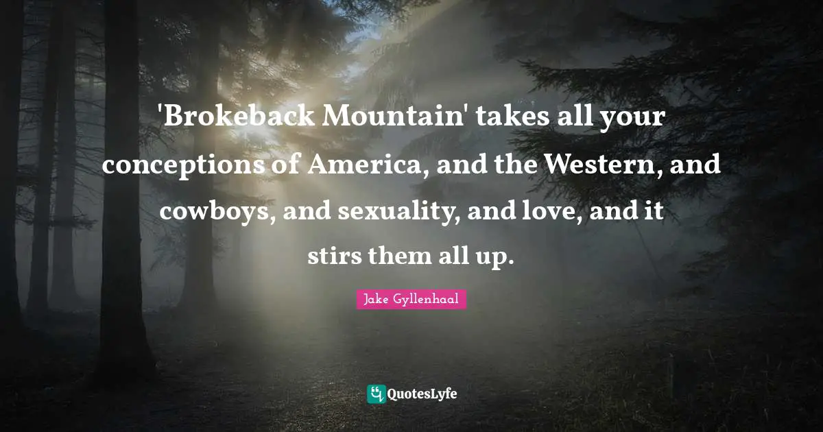 'Brokeback Mountain' takes all your conceptions of America, and the Western, and cowboys, and sexuality, and love, and it stirs them all up.