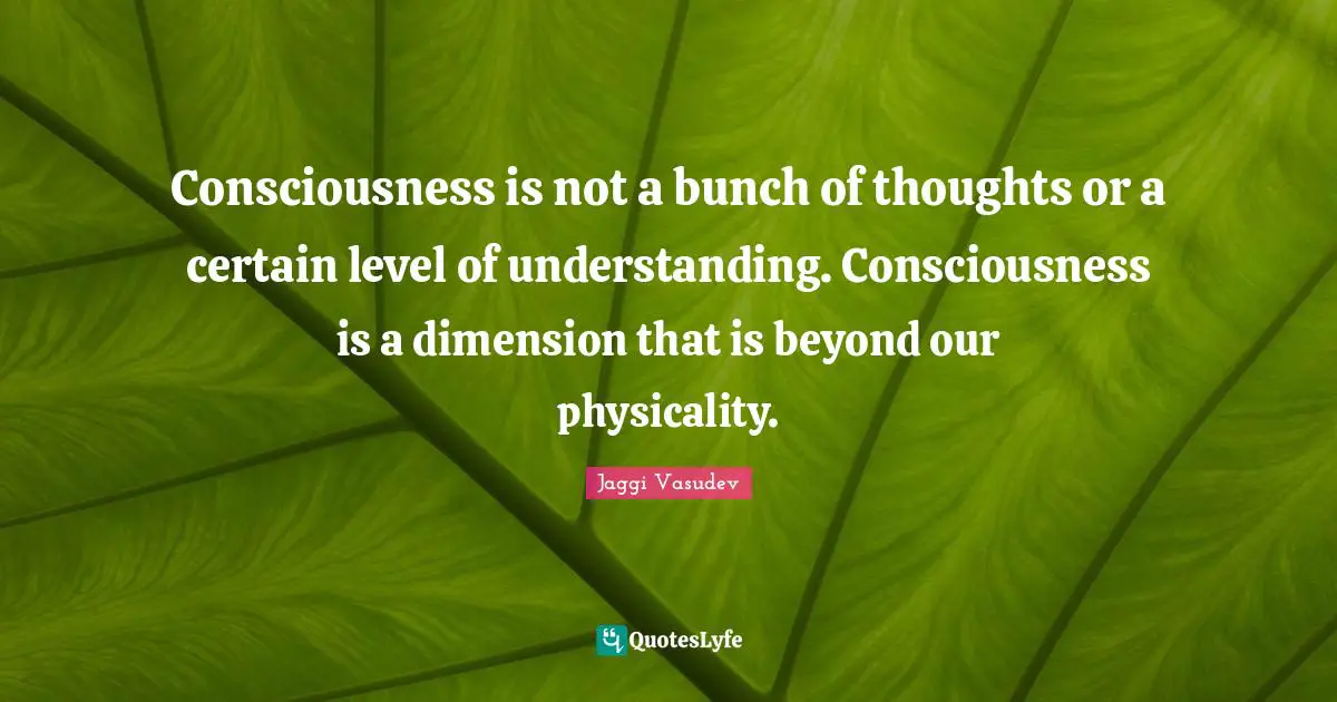 Consciousness is not a bunch of thoughts or a certain level of understanding. Consciousness is a dimension that is beyond our physicality.