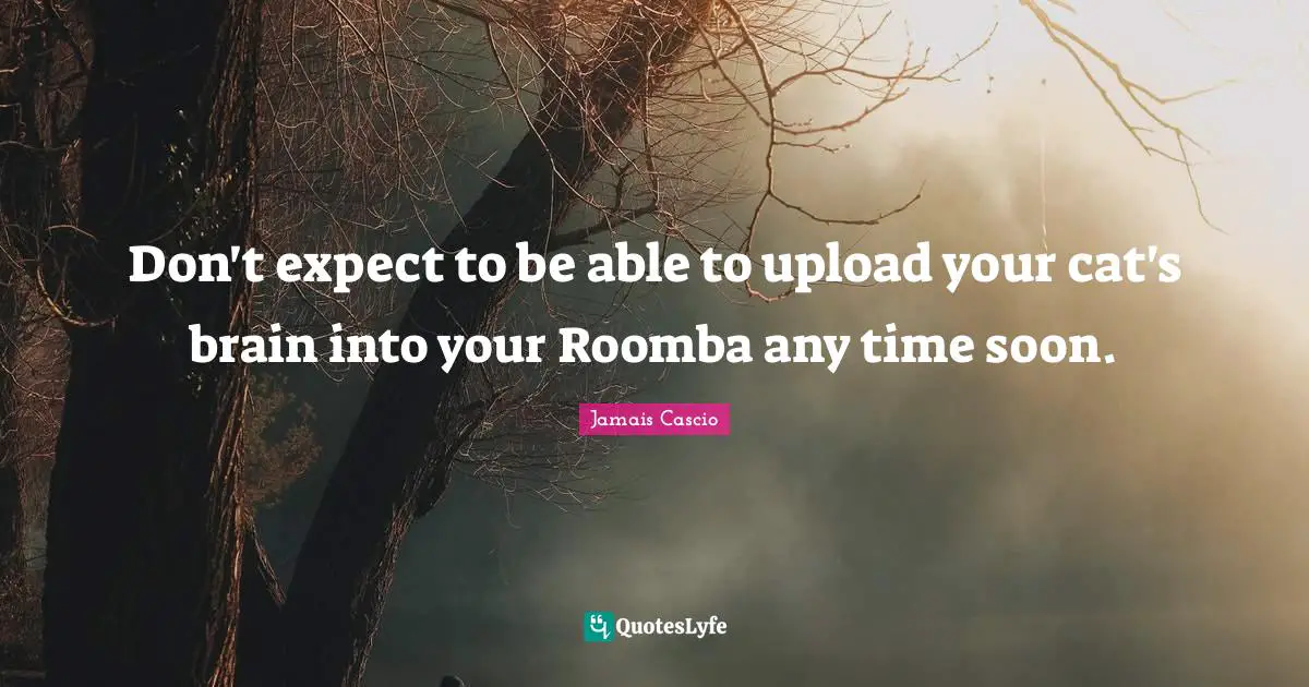 Don't expect to be able to upload your cat's brain into your Roomba any time soon.