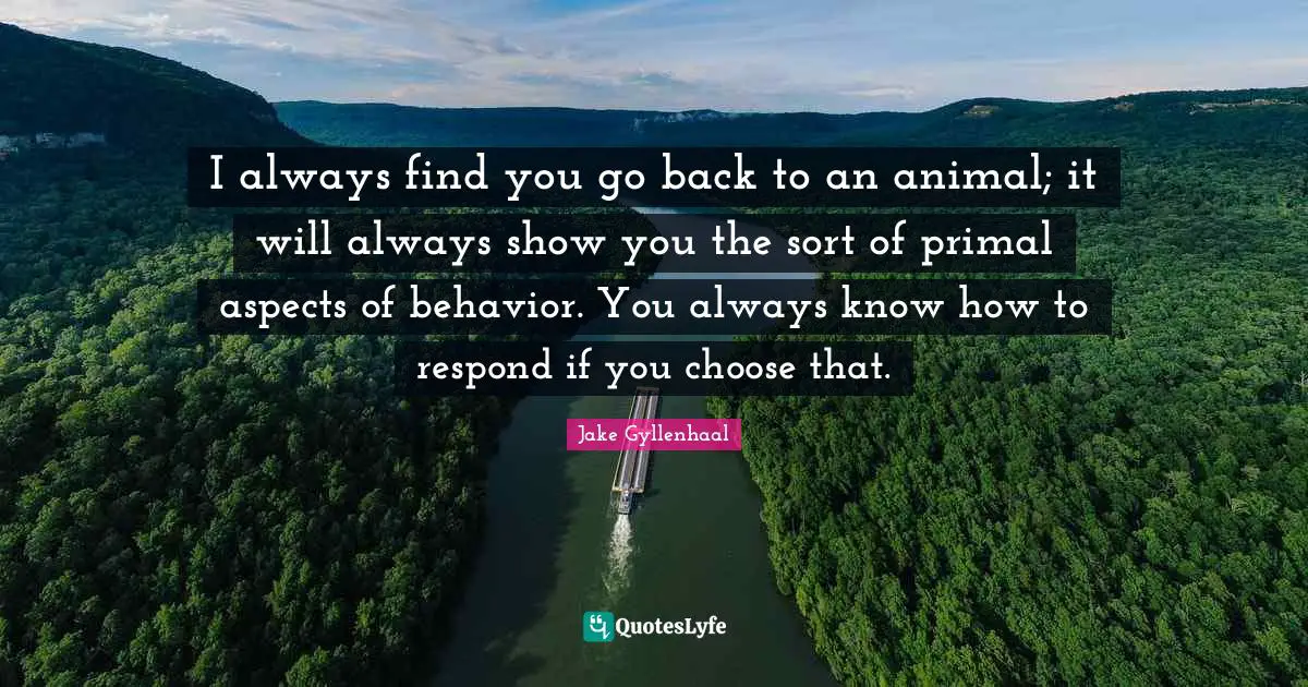 Animal Behavior Quotes: "I always find you go back to an animal; it will always show you the sort of primal aspects of behavior. You always know how to respond if you choose that."
