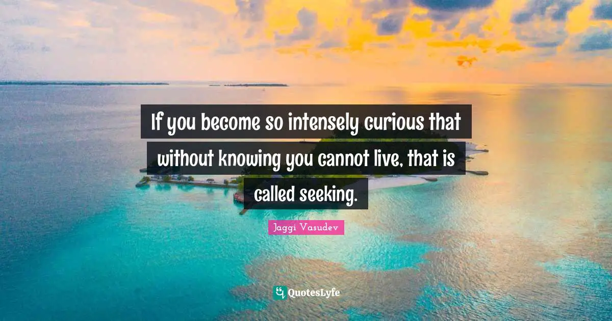 If you become so intensely curious that without knowing you cannot live, that is called seeking.