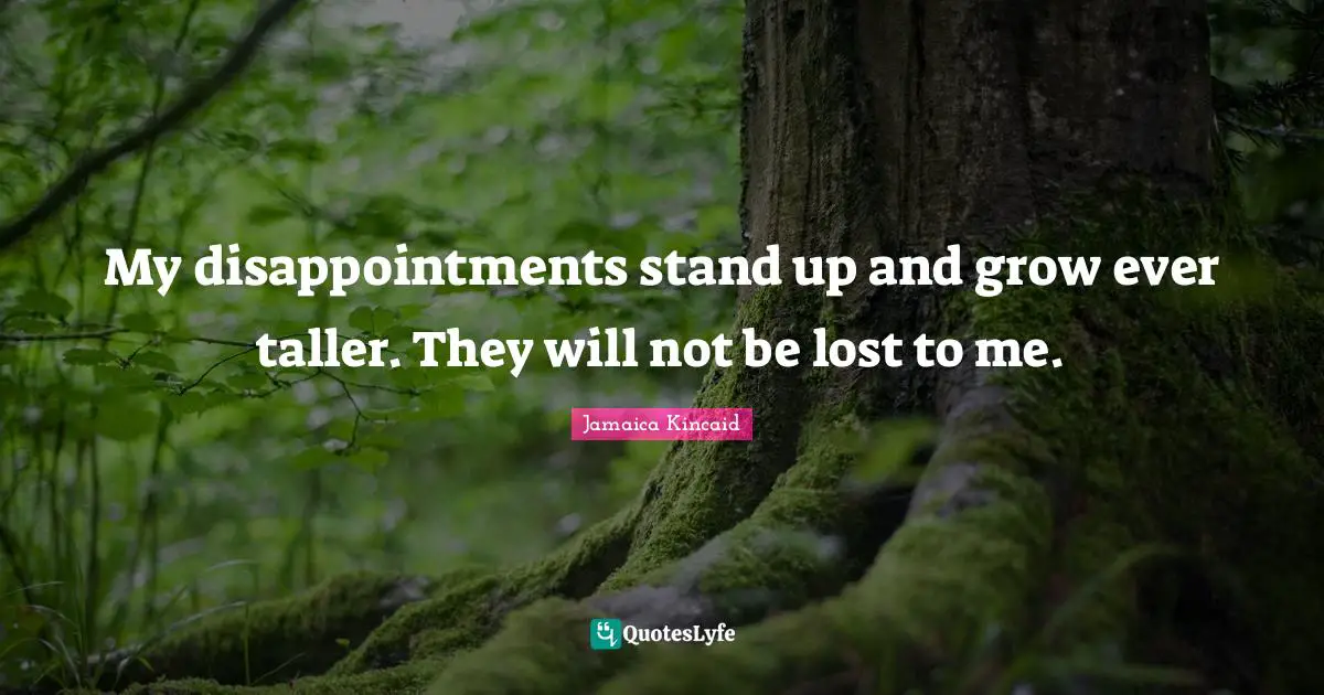 My disappointments stand up and grow ever taller. They will not be lost to me.