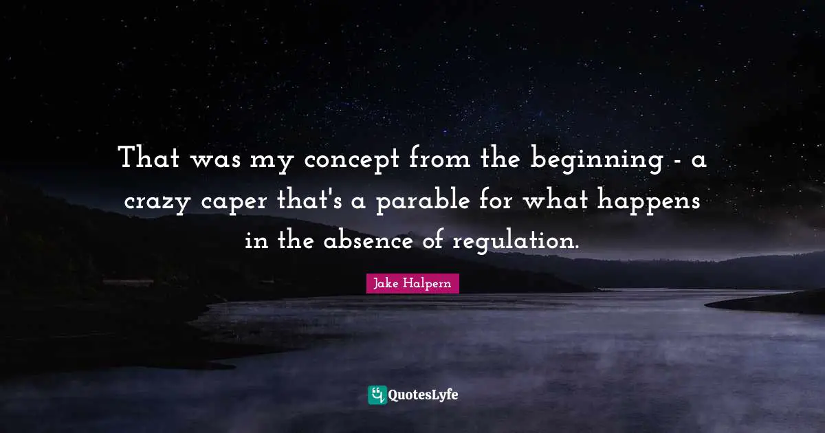 That was my concept from the beginning - a crazy caper that's a parable for what happens in the absence of regulation.