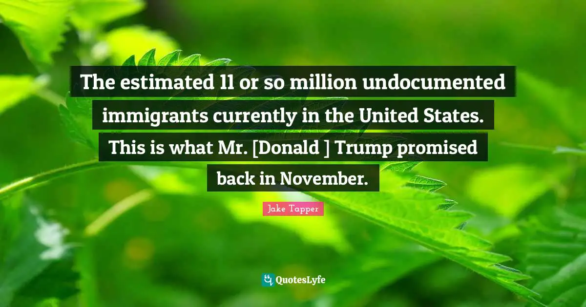 The estimated 11 or so million undocumented immigrants currently in the United States. This is what Mr. [Donald ] Trump promised back in November.