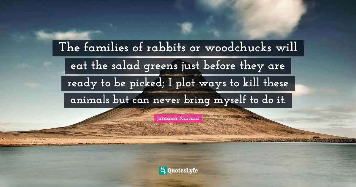 The families of rabbits or woodchucks will eat the salad greens just before they are ready to be picked; I plot ways to kill these animals but can never bring myself to do it.