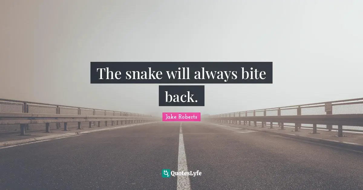 Bites Quotes: "The snake will always bite back."