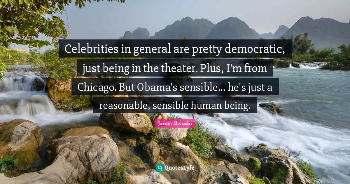 Celebrities in general are pretty democratic, just being in the theater. Plus, I'm from Chicago. But Obama's sensible... he's just a reasonable, sensible human being.
